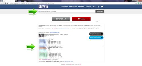 KeepVid Odabir formata i download